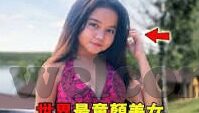 森林舞会电脑版遥控器-森林舞会电脑版遥控器的奇妙之旅