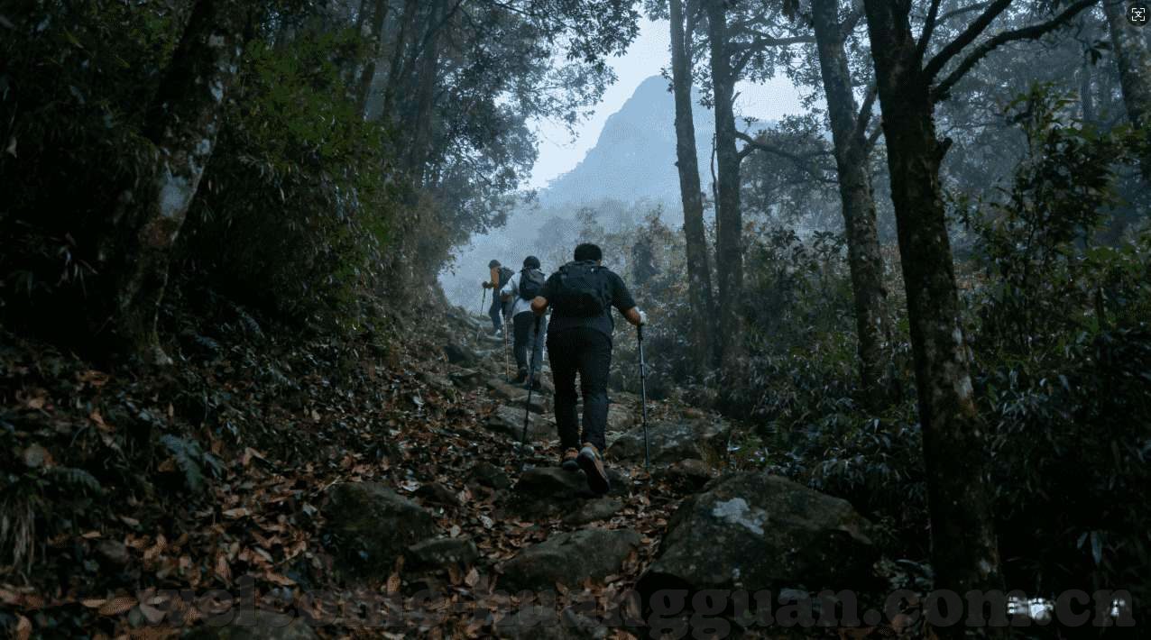 线上澳门皇家赌场铃声-线上澳门皇家赌场铃声，虚拟世界的音乐符号